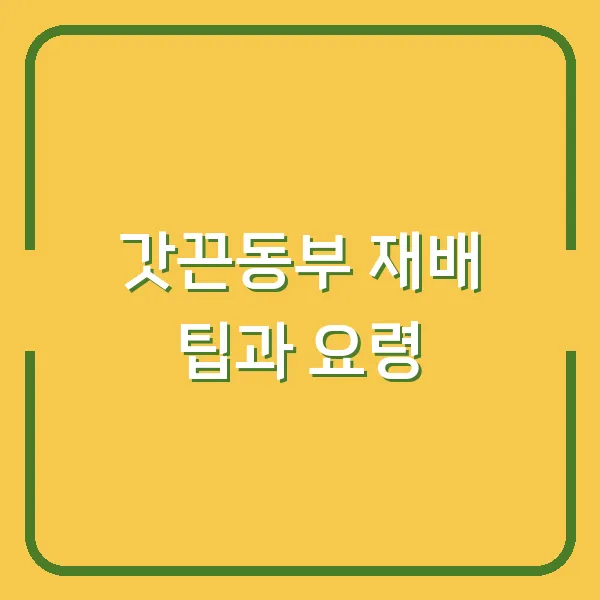 갓끈동부 재배 팁과 요령