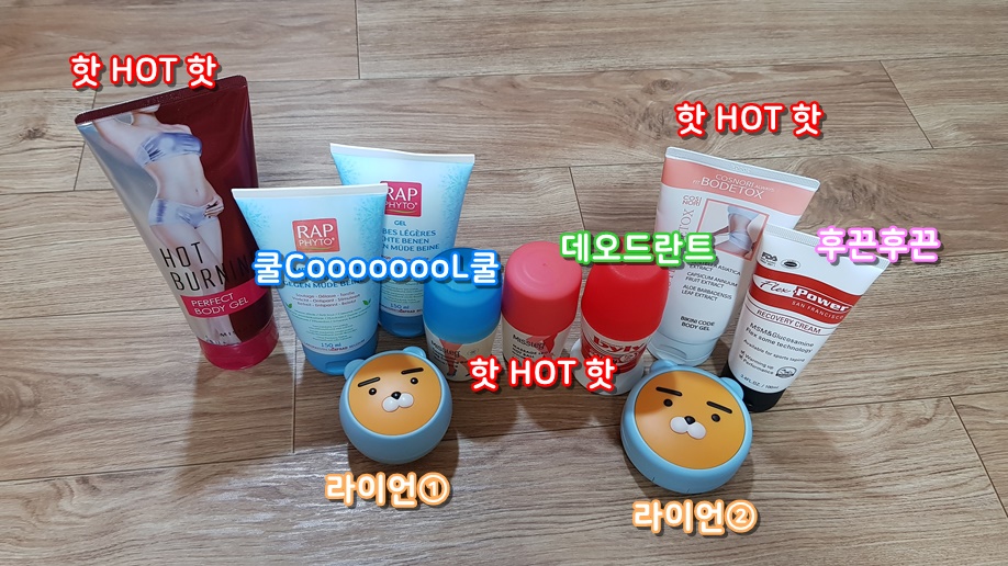  [Minimalist Game 10일차] 망할 다이어트! ② + 그리고 라이언