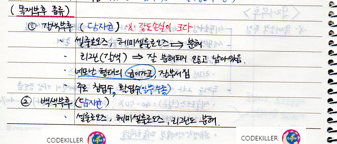  [수목병리학] 목재 부후 종류 (갈색부후, 백색부후, 연부후)