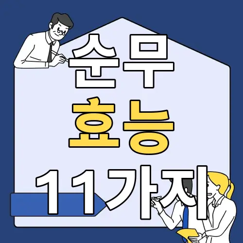 순무 효능