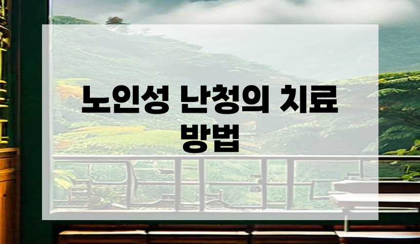 노인성 난청의 치료 방법