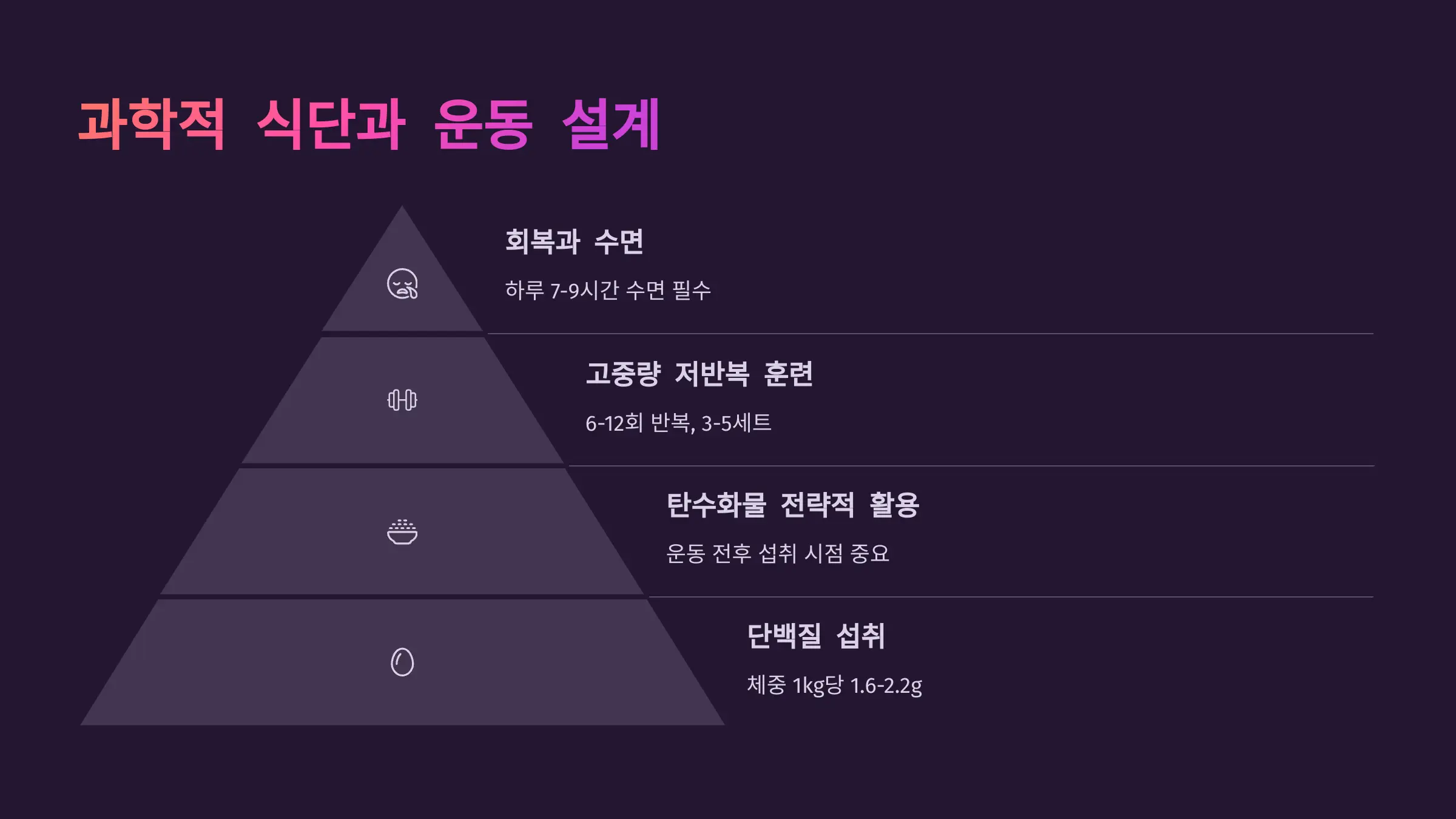 근육을 키우기 위한 식단과 운동의 과학적 설계