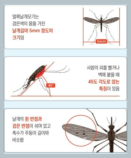 말라리아 종류, 증상, 위험 지역, 헌혈 제한, 치료, 예방