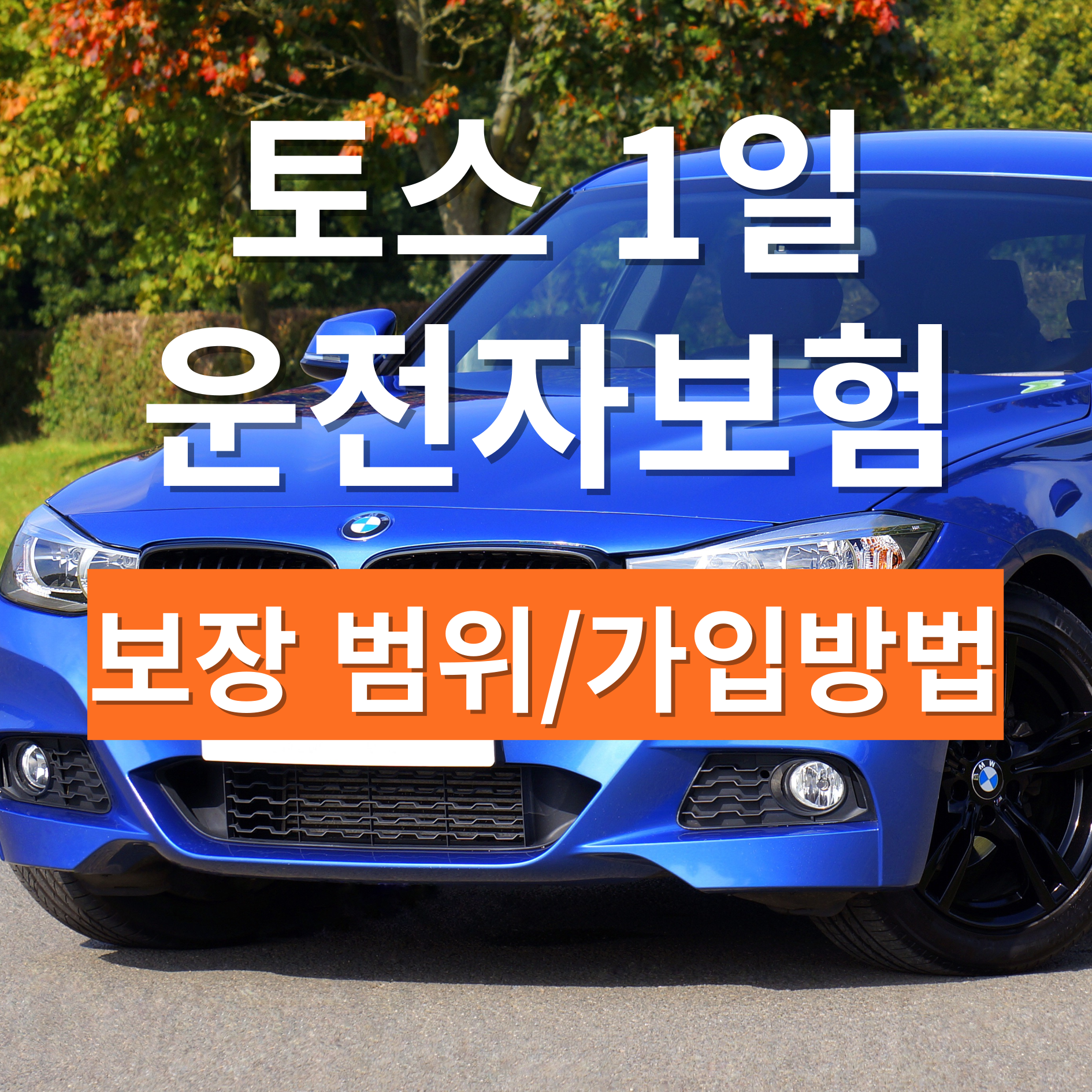 토스 1일 운전자 보험