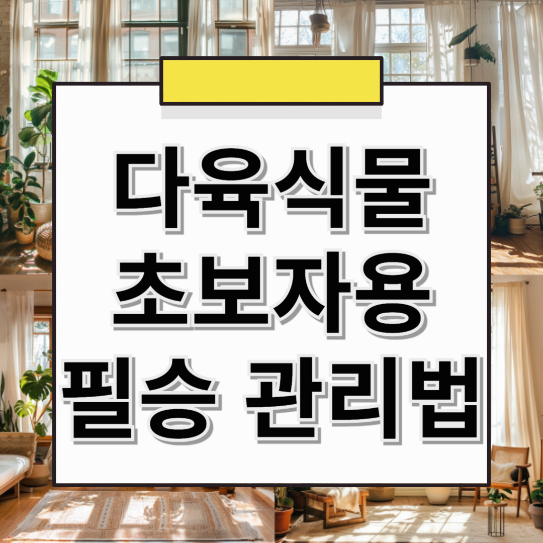 🌵 다육식물 키우기! 초보자도 실패 없는 관리법과 추천 종