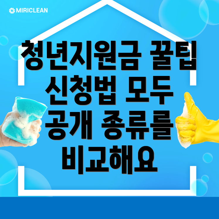 청년지원금