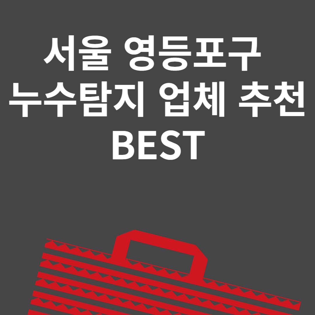 서울 영등포구 누수탐지 업체 추천 Best6ㅣ비용ㅣ누수 보험 블로그 썸내일 사진