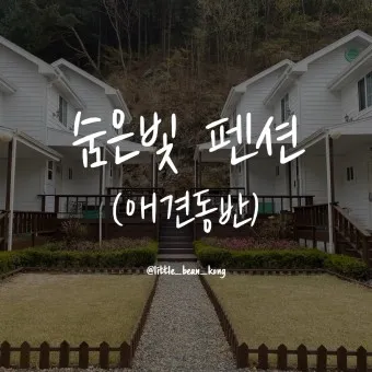 전국 애견동반 펜션 추천 목록 10곳 반려견 동행 휴식 여행_18