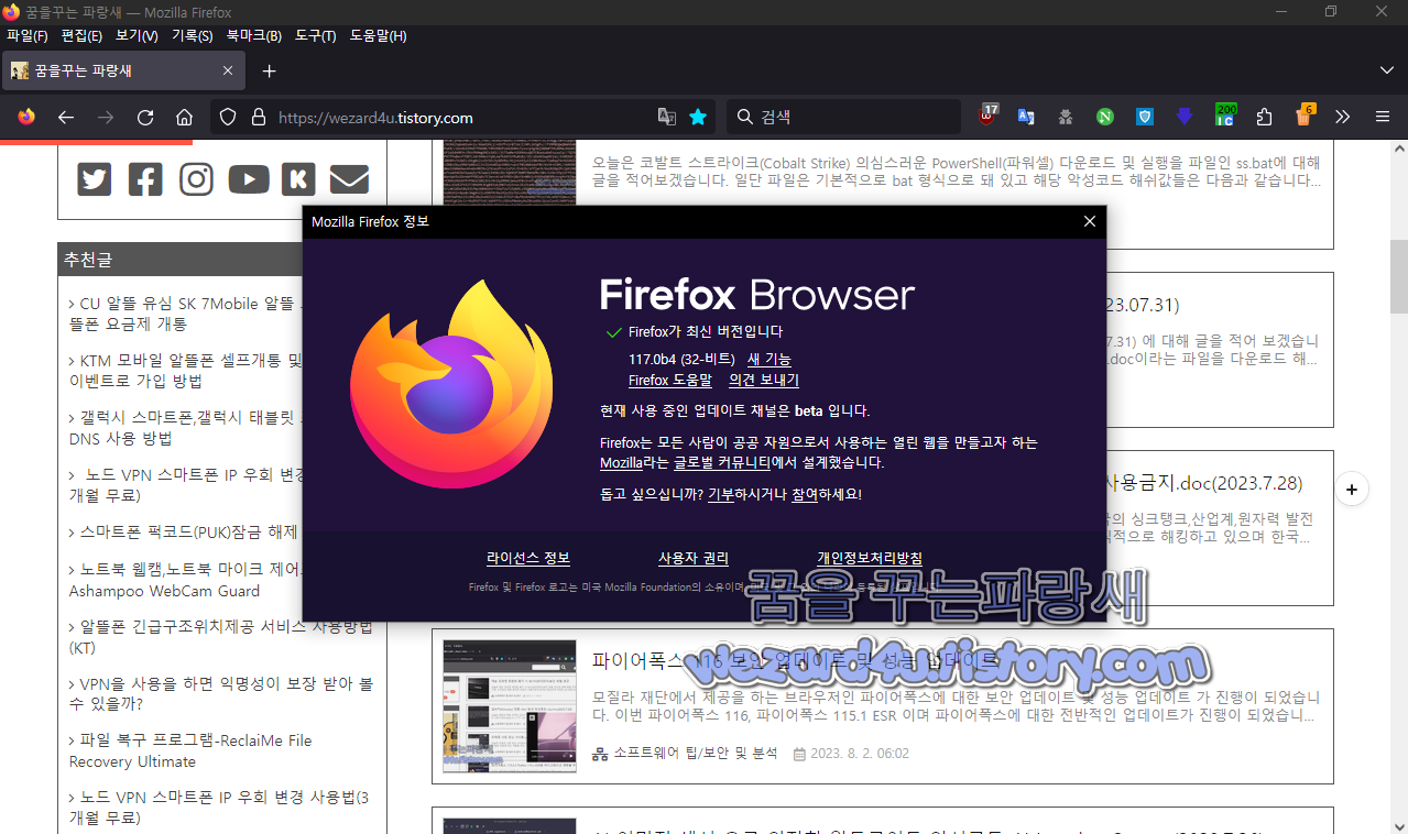 파이어폭스 117.0b4