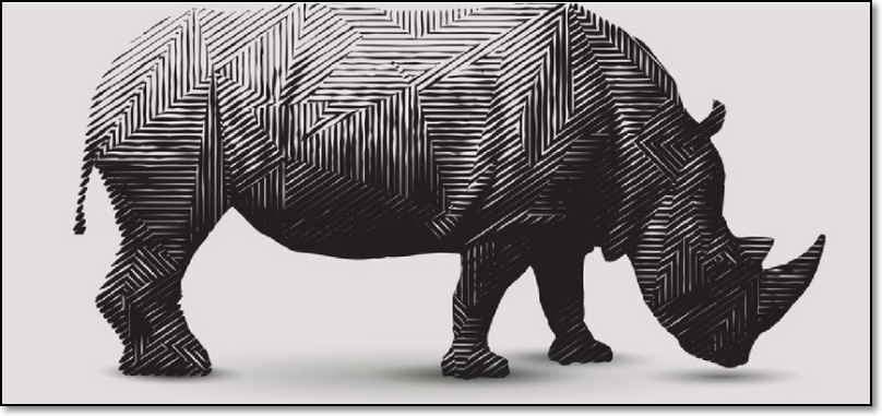 경제위기 회색 코뿔소