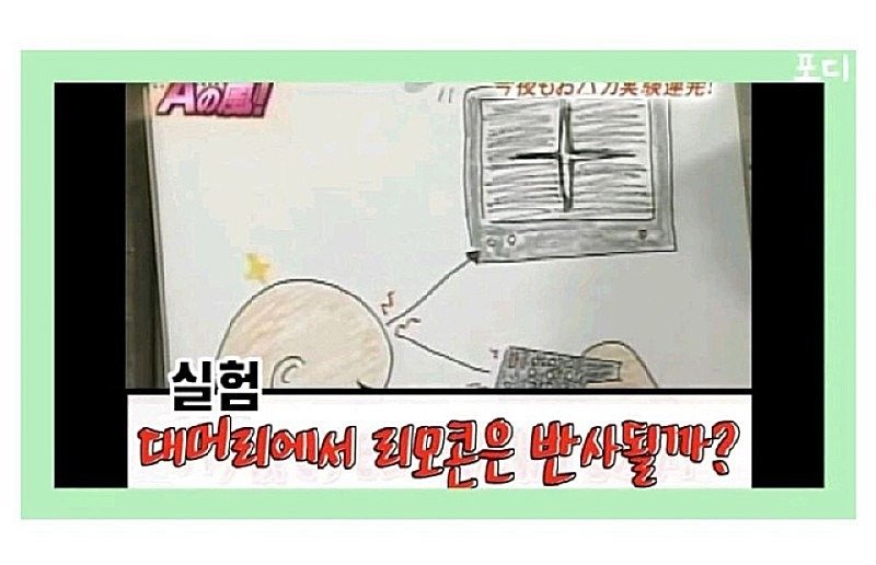  잔인한 실험하는 일본 예능