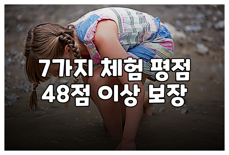 7가지 체험 평점 48점 이상 보장
