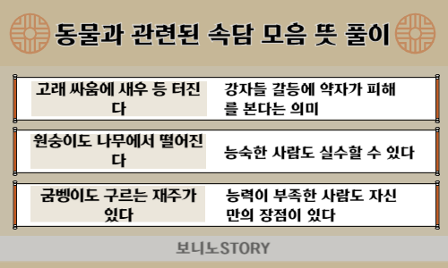 동물과-관련된-속담-모음과-뜻-풀이-사진