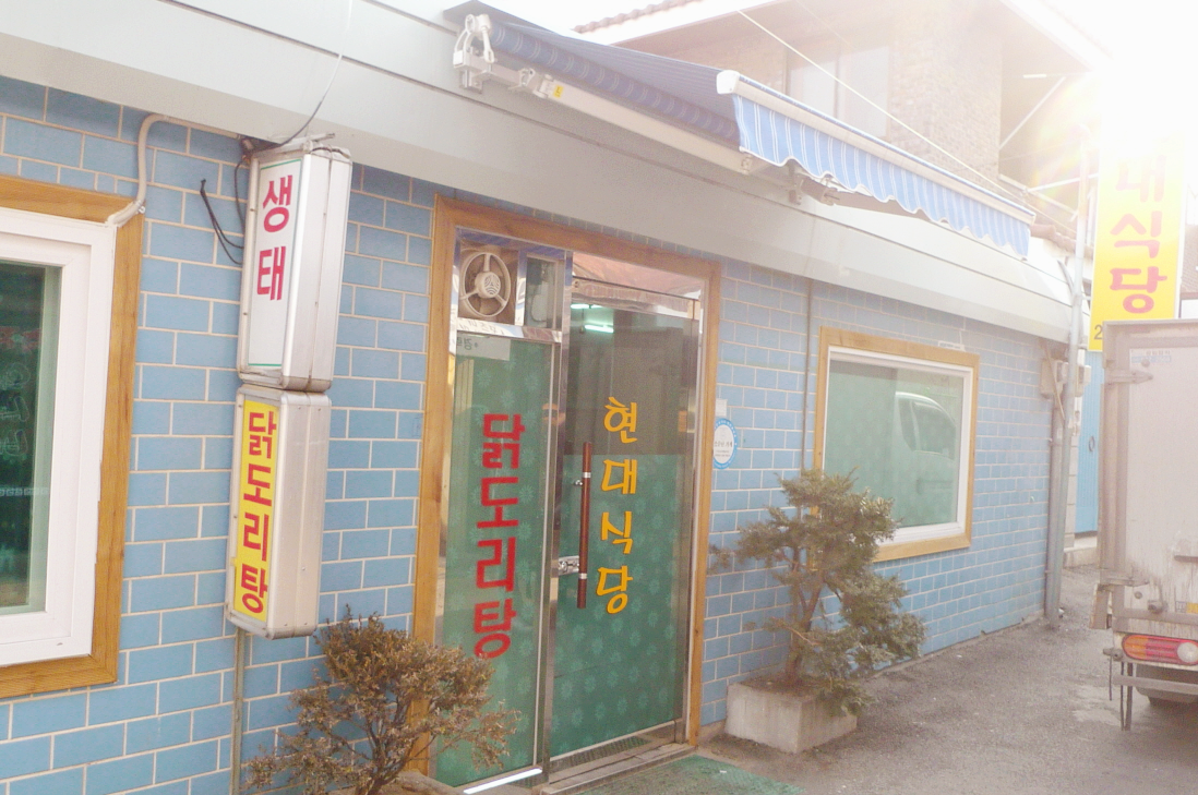대전 여행 대전 대흥동 맛집 닭도리탕 닭볶음탕 현대식당