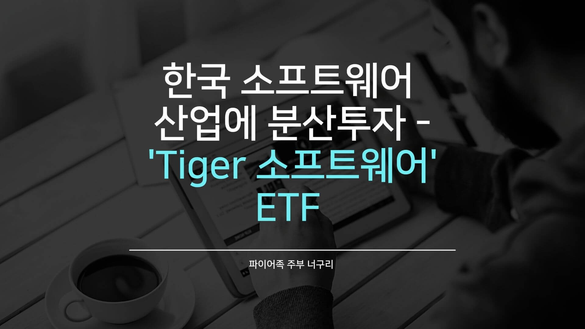  한국 소프트웨어 산업에 분산투자 - 'Tiger 소프트웨어' ETF