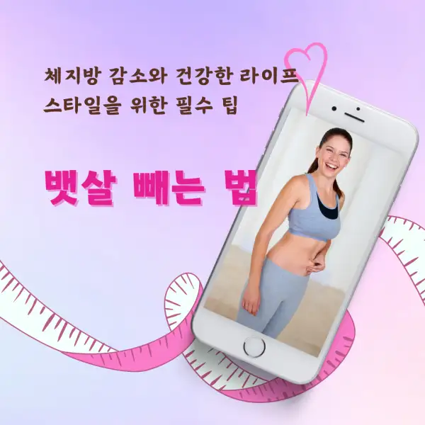 뱃살 빼는 법 완벽 가이드