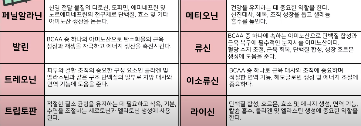  EAA 보조제 보충제의 정확한 해석
