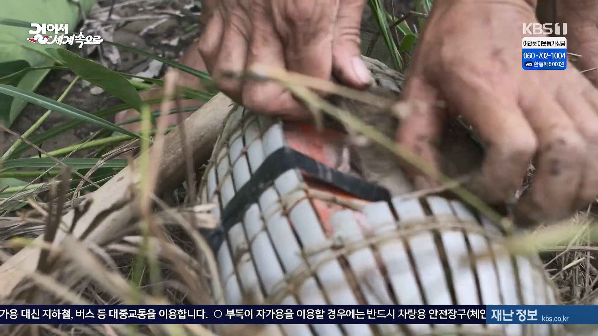 걸어서 세계속으로.E826.240120p.H264-F1RST.mp4_20240716_202138.300.jpg