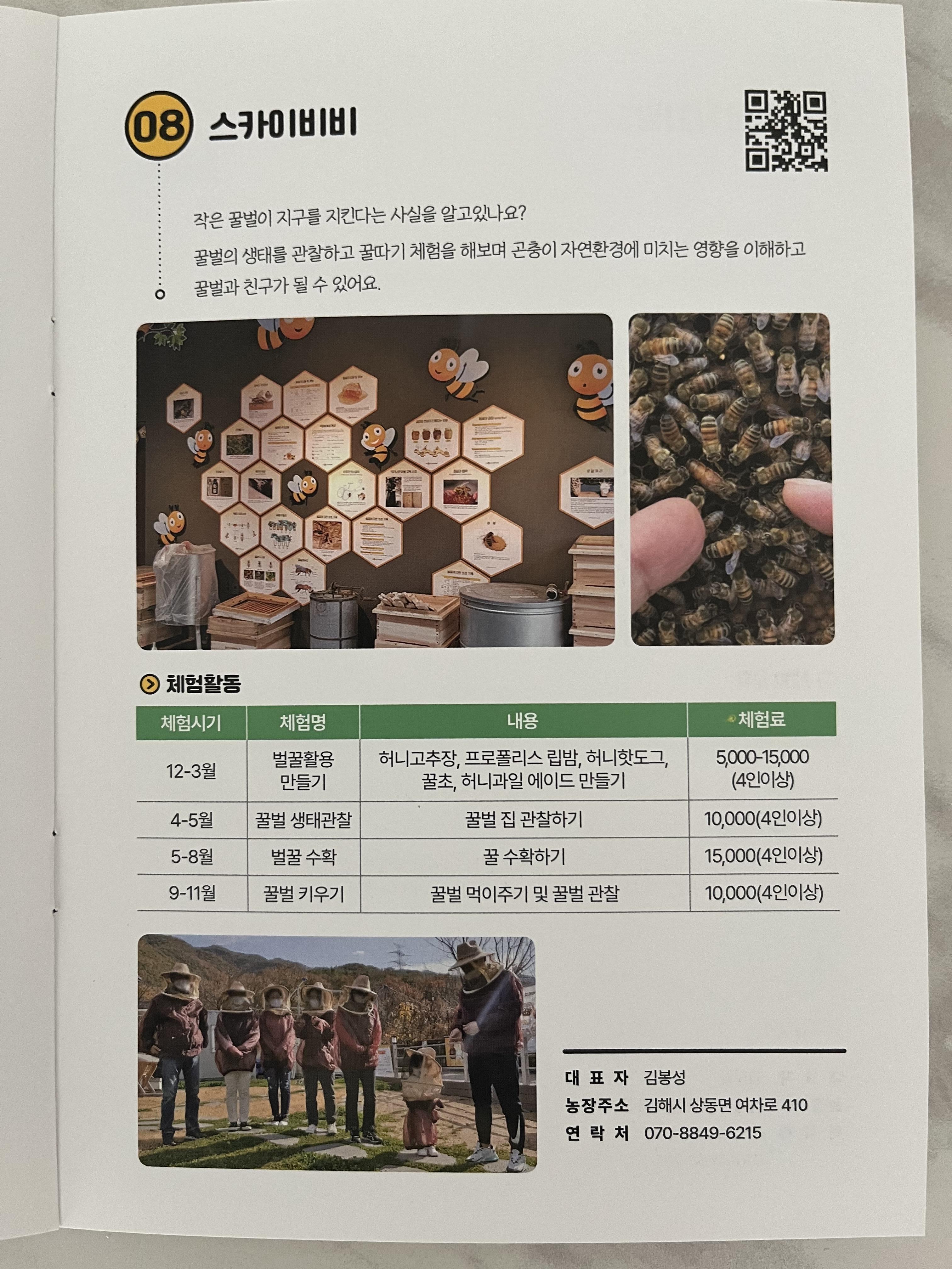 스카이비비