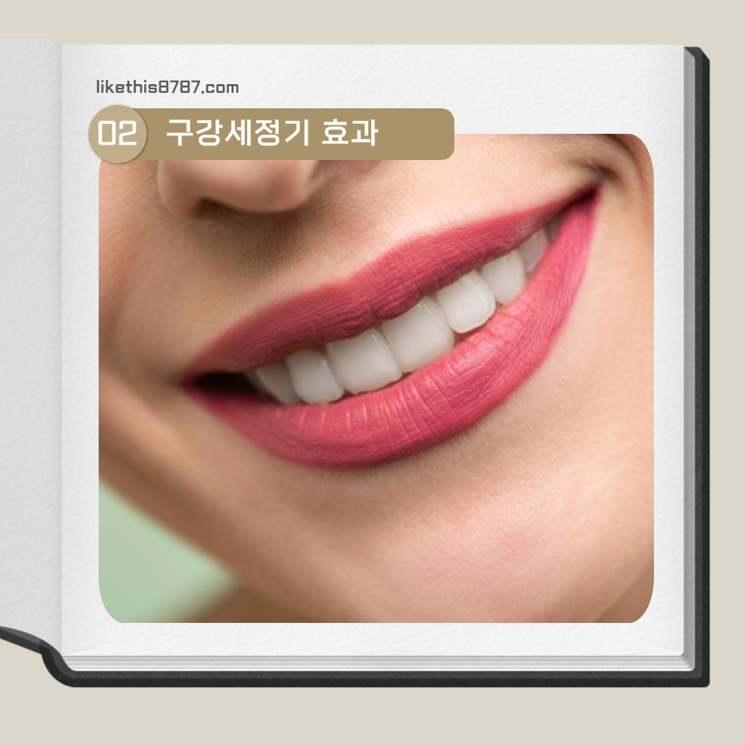 구강세정기