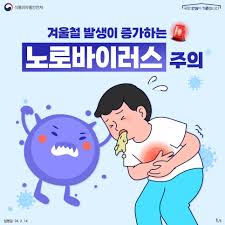  노로바이러스 증상 -홍보용 