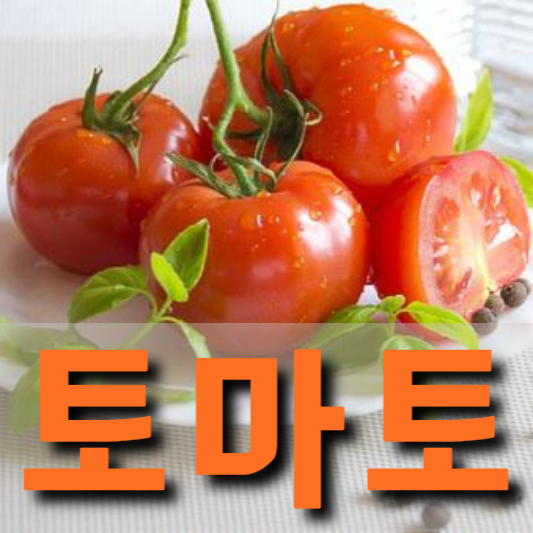 토마토