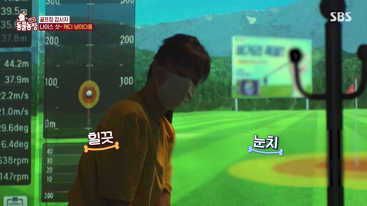 TV 동물농장.E1133.230814p-NEXT.mp4_20230813_171347.538.jpg