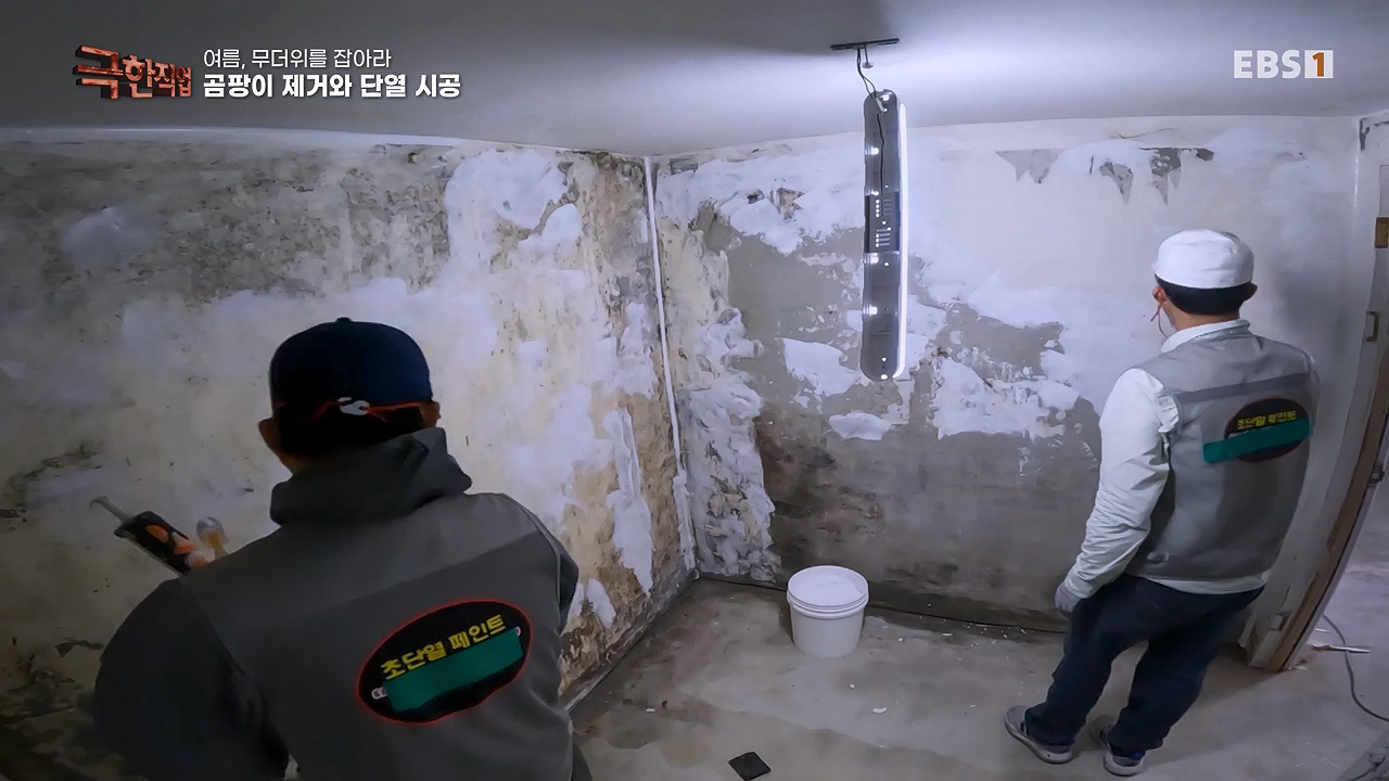 TV - 전 국민의 평생학교 EBS여름, 무더위를 잡아라 단열과 냉방.mp4_20230604_180851.006.jpg