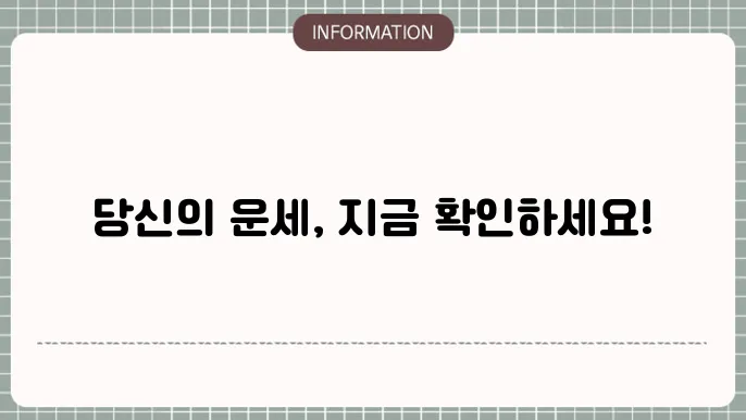 운세의 다양한 영역