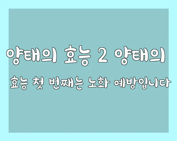 양태의 효능 2 양태의 효능 첫 번째는 노화 예방입니다