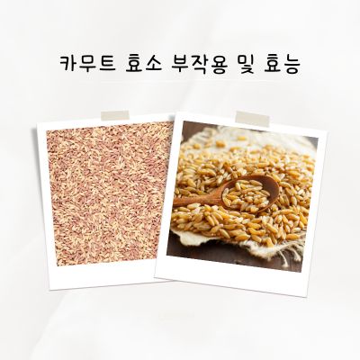 카무트 부작용