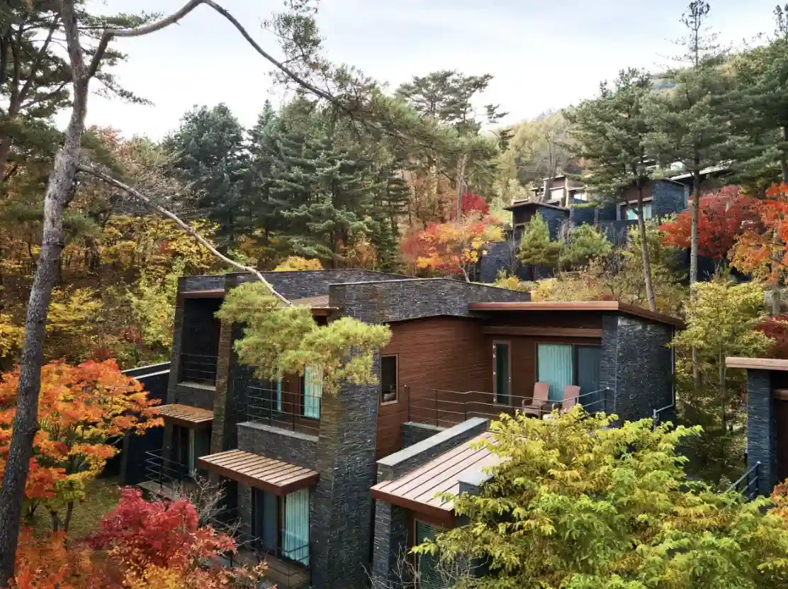  제천 호텔 예약 Best 3 자연과 함께 휴식하기 좋은 숙소 예약