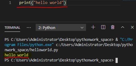  Python 독학 기본편 #1 print&변수