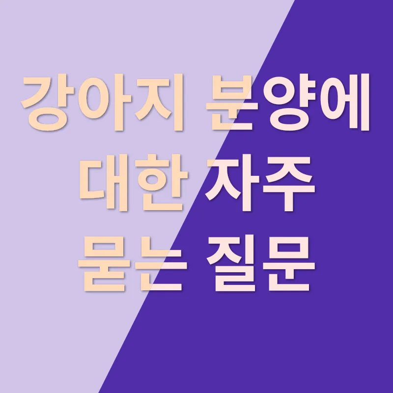 강아지 분양_4