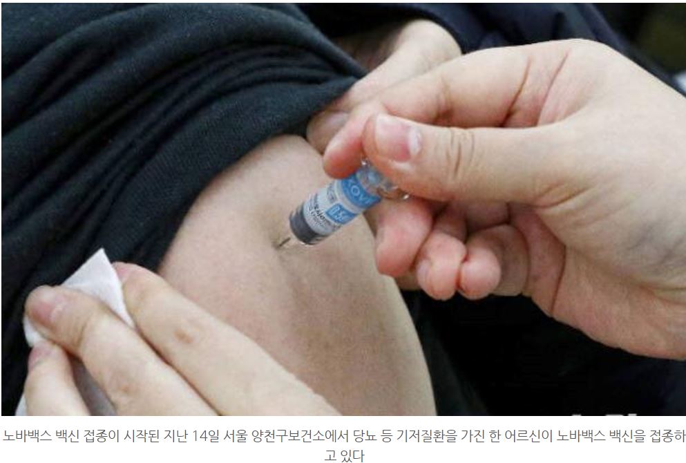  오미크론치명률  오미크론확진자국내