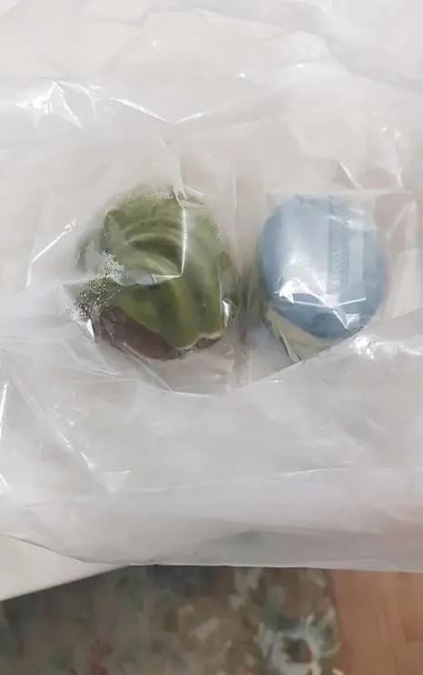 데이아