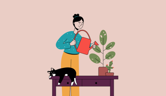반려식물 키우기 &amp; 플랜테리어 – 집안을 생기 있게 만들어주는 식물 키우기