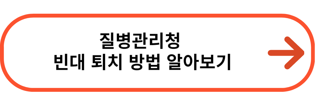 빈대퇴치