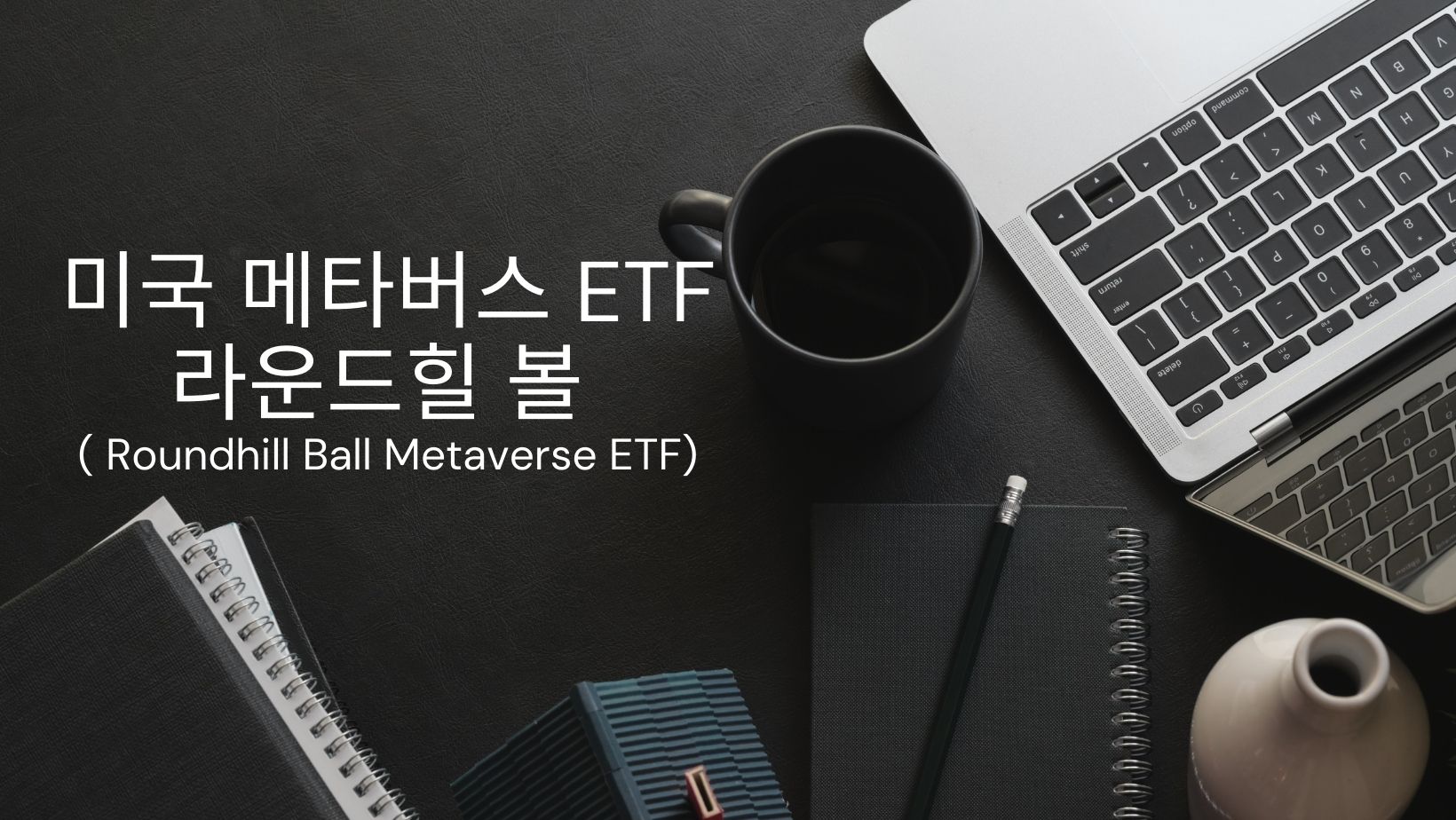  미국 메타버스 ETF 라운드힐 볼