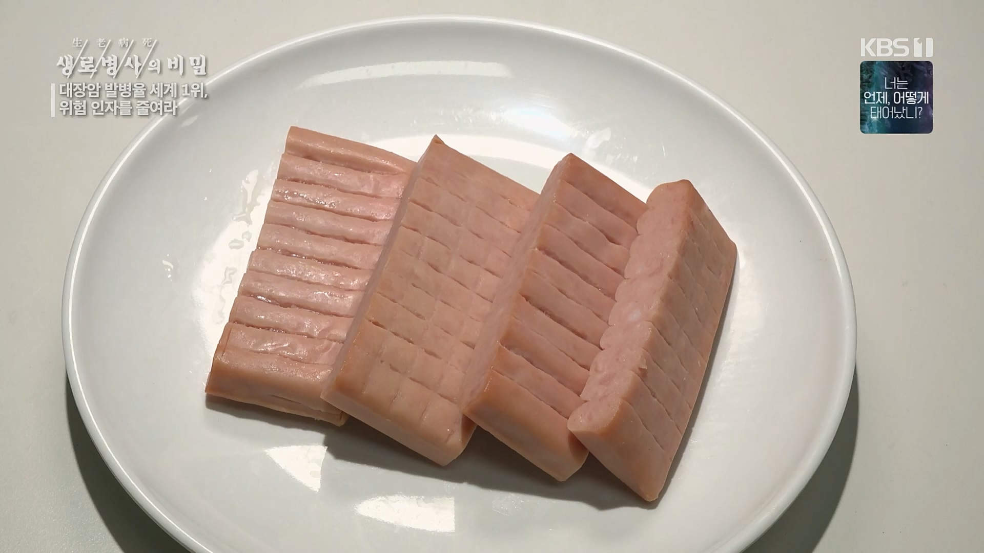생로병사의 비밀.E858.230301p.H264-F1RST.mp4_20230302_195713.493.jpg
