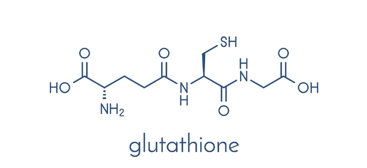 글루타치온 성분 표기