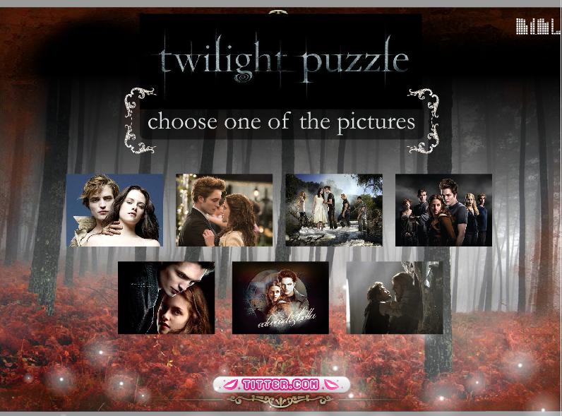twilight puzzle