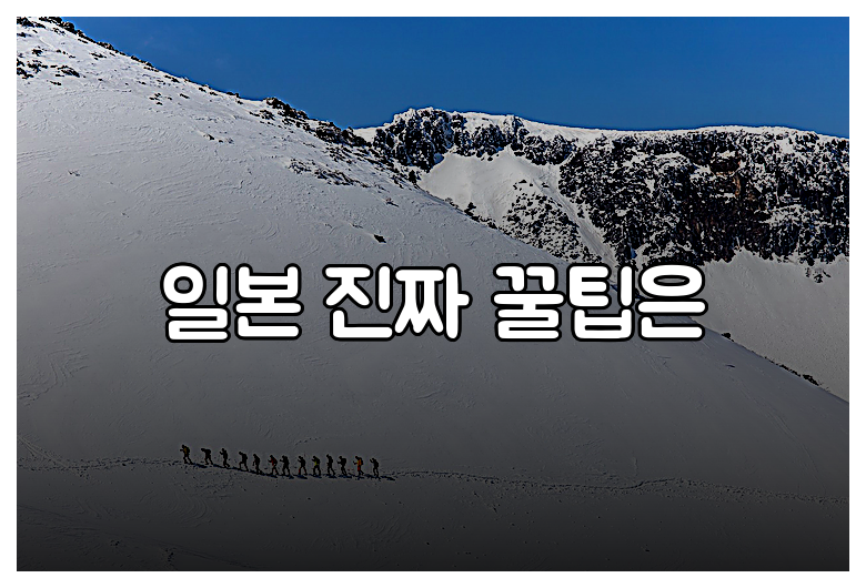 일본 진짜 꿀팁은