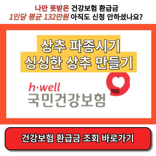 상추 파종시기 썸넬