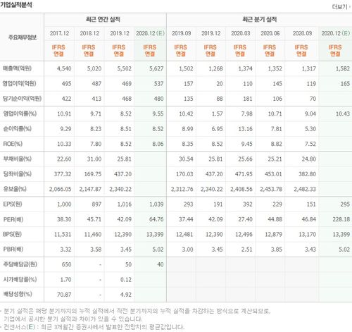 2차전지 동박 대장주