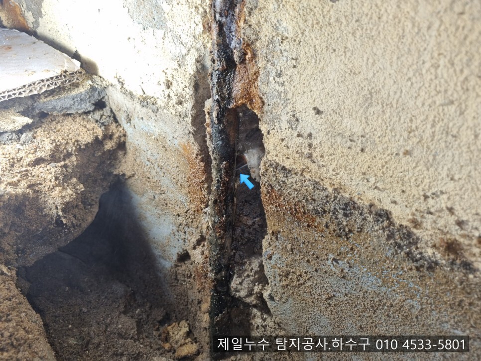  왜관누수 제일누수 탐지공사.하수구 칠곡군 왜관읍 왜관리 모 1층 상가 누수현장