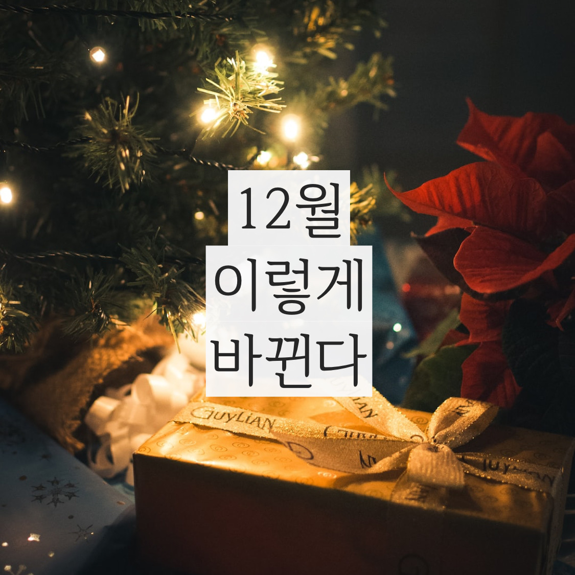  12월 대한민국 정부 정책 브리핑 12월부터 달라집니다 확인하세요!