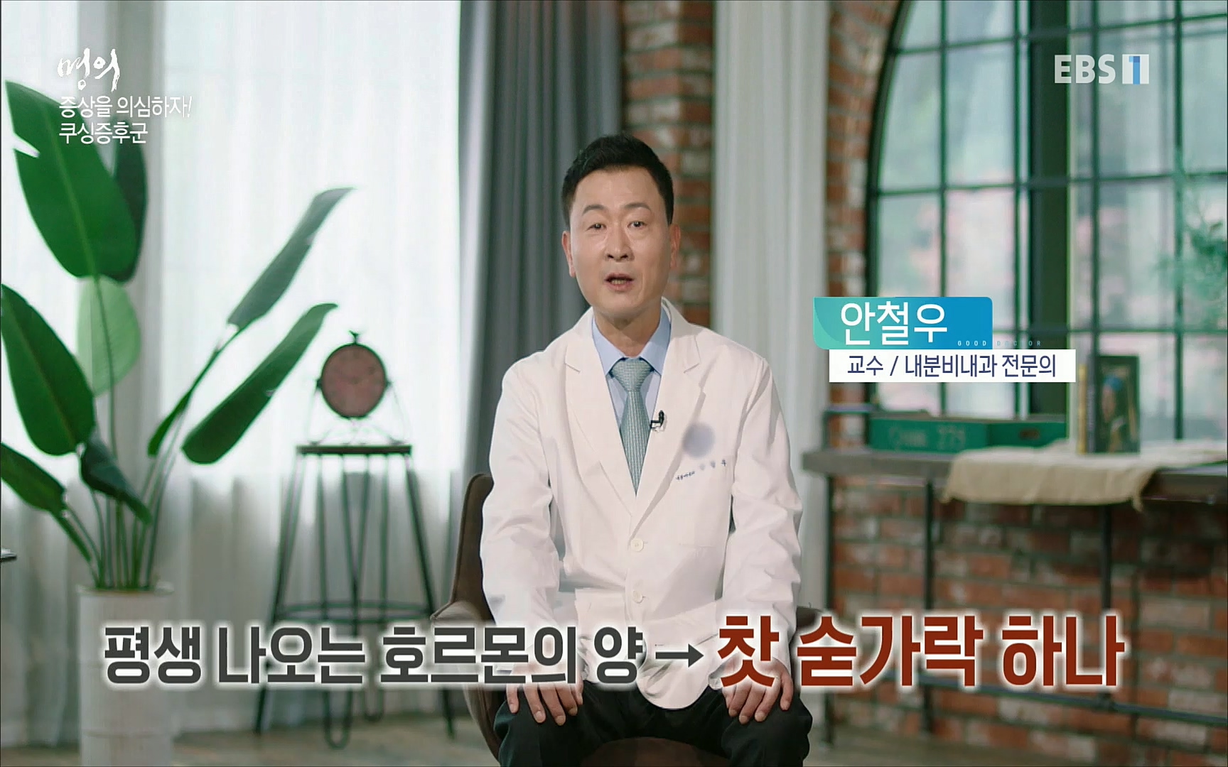 EBS 명의 헬스케어 - TV - 교육의 중심 EBS내 몸을 지배하는 7가지 호르몬 2부, 증상을 의심하자!.mp4_20220711_200212.321.jpg