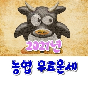  2021년 농협 무료운세(+토정비결)