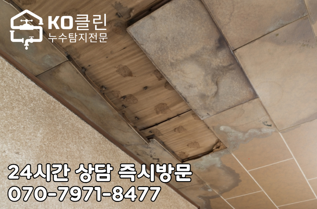 일산 호수공원 누수 탐지4